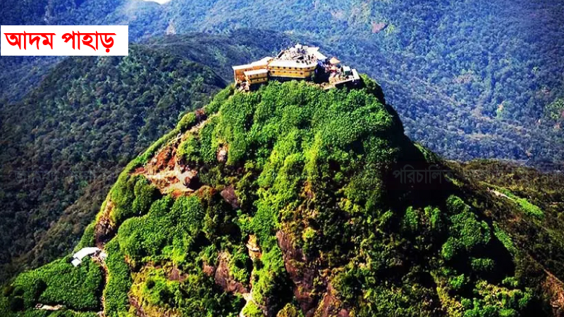 হযরত আদম আ. এর পবিত্র জীবনী